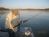 (04/15/2014) - Nice Striped Bass
